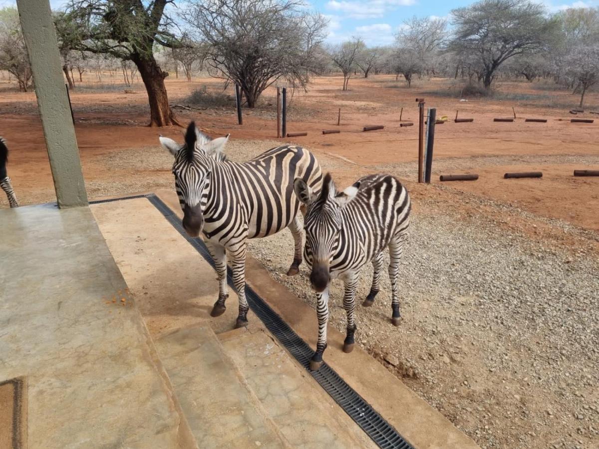 Doornkom Marloth Park Exterior photo